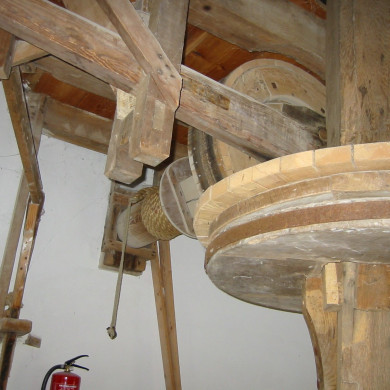 Rijksdienst voor het Cultureel Erfgoed: Terpstra, Frank