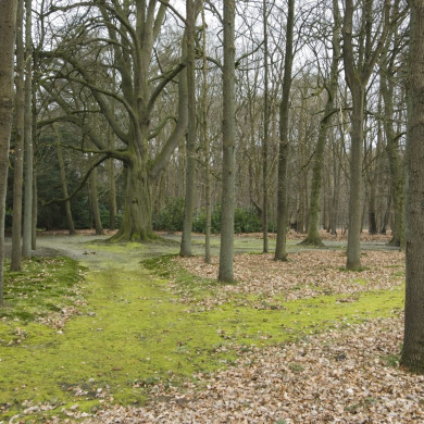 Rijksdienst voor het Cultureel Erfgoed: Galen, Jan van