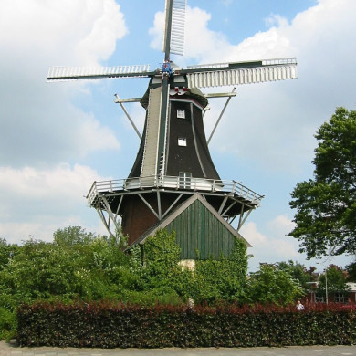 Rijksdienst voor het Cultureel Erfgoed: Terpstra, Frank