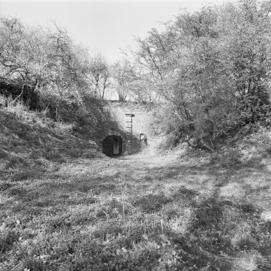 Rijksdienst voor het Cultureel Erfgoed: Schollen, A.H.C.