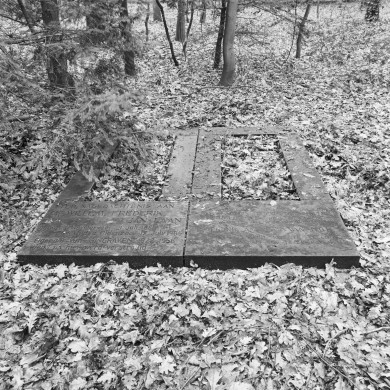 Rijksdienst voor het Cultureel Erfgoed: Wal, A.J. van der