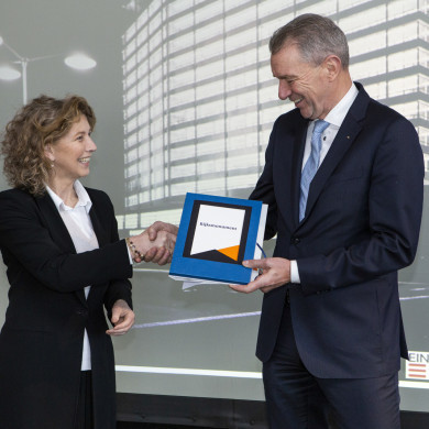 Rijksdienst voor het Cultureel Erfgoed: Steen, Monique van der