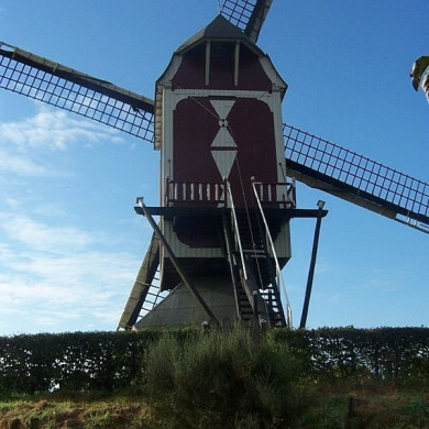 Rijksdienst voor het Cultureel Erfgoed: Terpstra, Frank