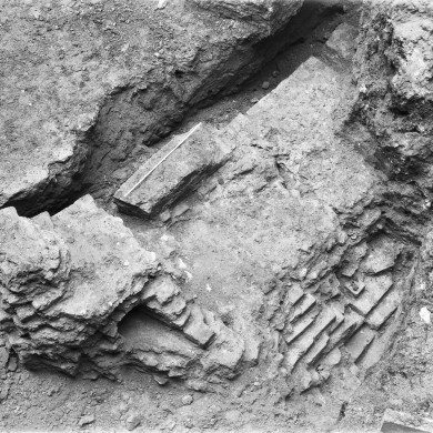 Rijksdienst voor het Cultureel Erfgoed: Delemarre, G.Th.