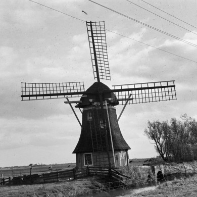 Rijksdienst voor het Cultureel Erfgoed