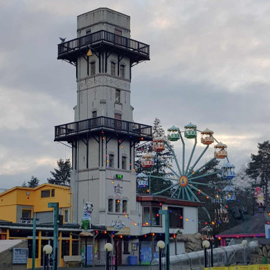 Rijksdienst voor het Cultureel Erfgoed: Lochem, S. (Sandra) van - Wel, van der