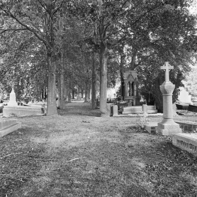 Rijksdienst voor het Cultureel Erfgoed: Wal, A.J. van der