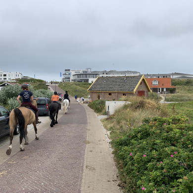 Rijksdienst voor het Cultureel Erfgoed: Bogers, Guido