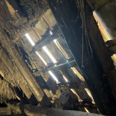 Rijksdienst voor het Cultureel Erfgoed: Bogers, Guido