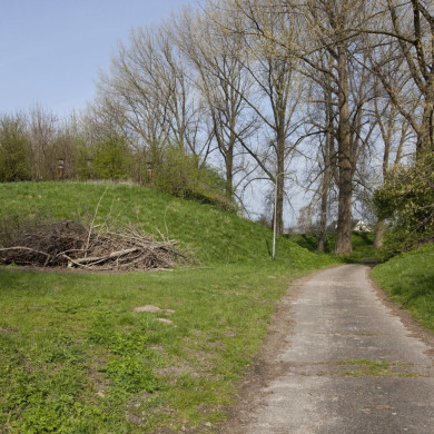 Rijksdienst voor het Cultureel Erfgoed: Galen, P. (Paul) van-Booms, C.S. (Chris)