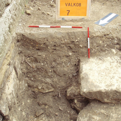 Rijksdienst voor het Cultureel Erfgoed