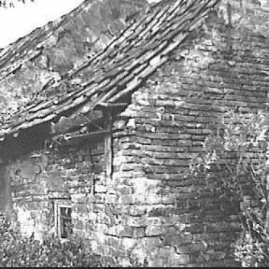 Rijksdienst voor het Cultureel Erfgoed: Delfgou, C.A.