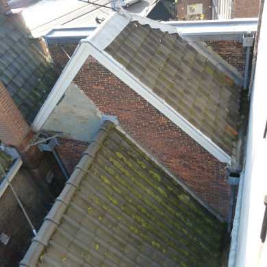 Rijksdienst voor het Cultureel Erfgoed: Bogers, Guido