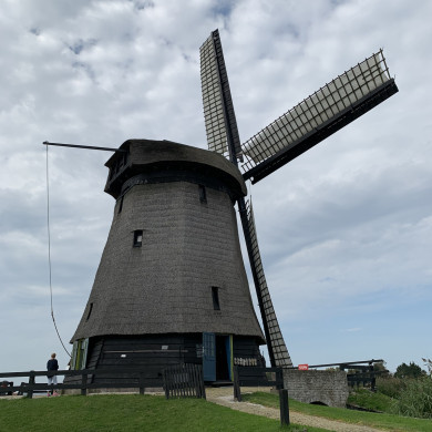 Rijksdienst voor het Cultureel Erfgoed: Bogers, Guido