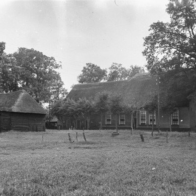 Rijksdienst voor het Cultureel Erfgoed: Schellekens, P.C.
