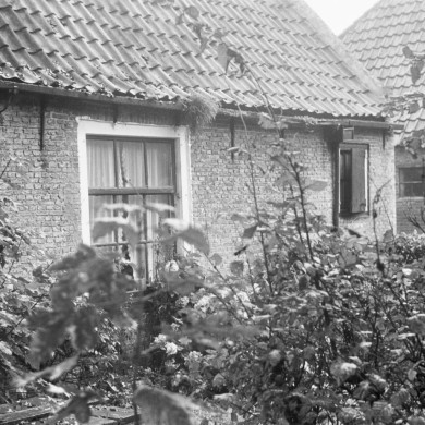 Rijksdienst voor het Cultureel Erfgoed: Haan, T.H. de