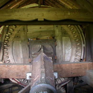 Rijksdienst voor het Cultureel Erfgoed: Terpstra, Frank