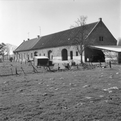 Rijksdienst voor het Cultureel Erfgoed: Delemarre, G.Th.