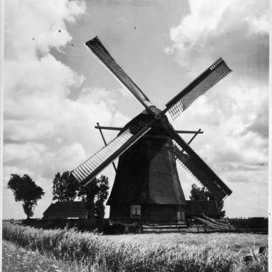 Rijksdienst voor het Cultureel Erfgoed: Koning, J.P. de