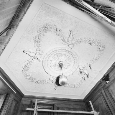 Rijksdienst voor het Cultureel Erfgoed: Schollen, T.