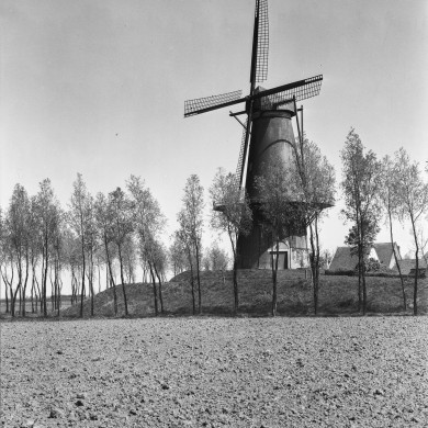 Rijksdienst voor het Cultureel Erfgoed: Delemarre, G.Th.