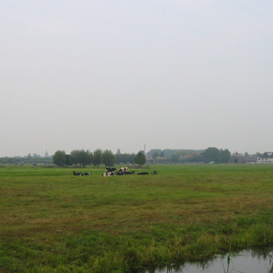 Rijksdienst voor het Cultureel Erfgoed: Terpstra, Frank