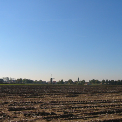 Rijksdienst voor het Cultureel Erfgoed: Terpstra, Frank