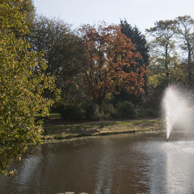 Rijksdienst voor het Cultureel Erfgoed: Technau, Sergé