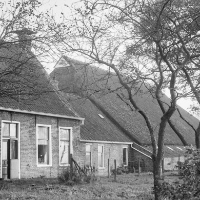 Rijksdienst voor het Cultureel Erfgoed: Schellekens, P.C.