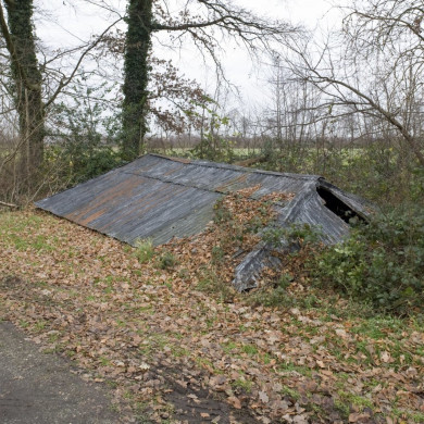 Rijksdienst voor het Cultureel Erfgoed: Booms, C.S. (Chris)
