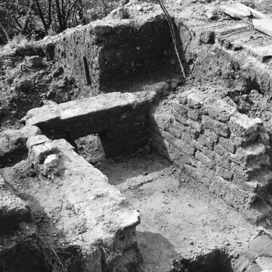 Rijksdienst voor het Cultureel Erfgoed: Delemarre, G.Th.