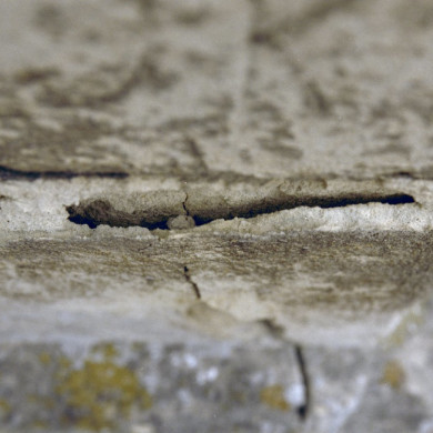 Rijksdienst voor het Cultureel Erfgoed: Galen, P. van