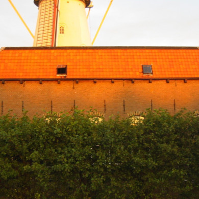 Rijksdienst voor het Cultureel Erfgoed: Terpstra, Frank
