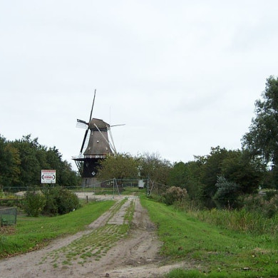 Rijksdienst voor het Cultureel Erfgoed: Terpstra, Frank