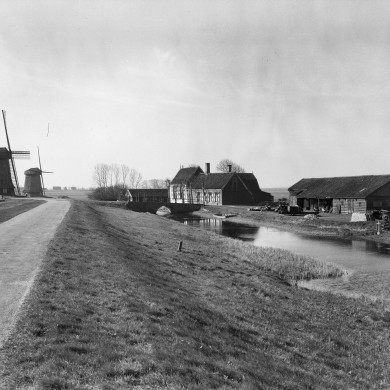 Rijksdienst voor het Cultureel Erfgoed: Delemarre, G.Th.