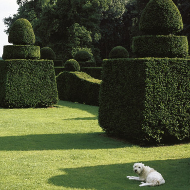 Rijksdienst voor het Cultureel Erfgoed: Heuff M. (Marijke)
