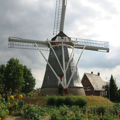Rijksdienst voor het Cultureel Erfgoed: Terpstra, Frank