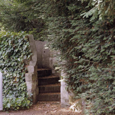 Rijksdienst voor het Cultureel Erfgoed: Heins, IJ.Th.