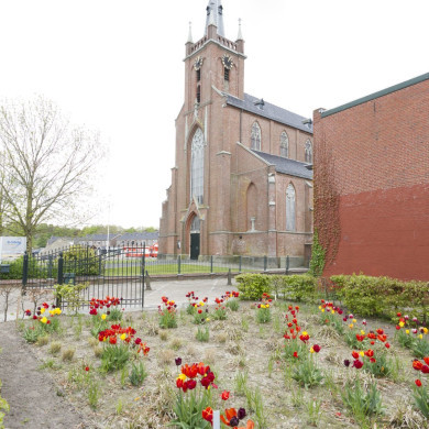 Rijksdienst voor het Cultureel Erfgoed: Sekuur, Mark