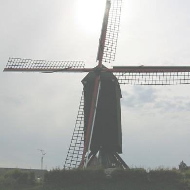 Rijksdienst voor het Cultureel Erfgoed: Terpstra, Frank