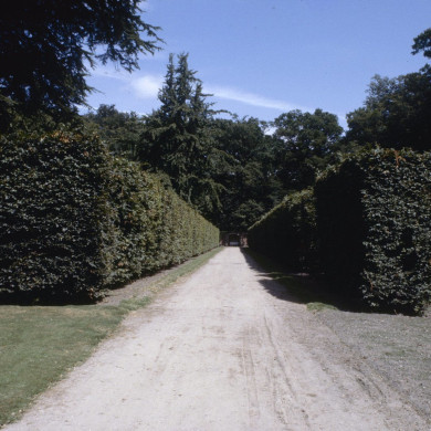 Rijksdienst voor het Cultureel Erfgoed: Galen, P. (Paul) van