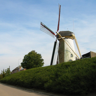 Rijksdienst voor het Cultureel Erfgoed: Terpstra, Frank