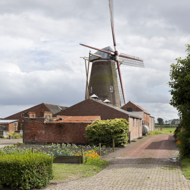 Rijksdienst voor het Cultureel Erfgoed: Booms, C.S. (Chris)