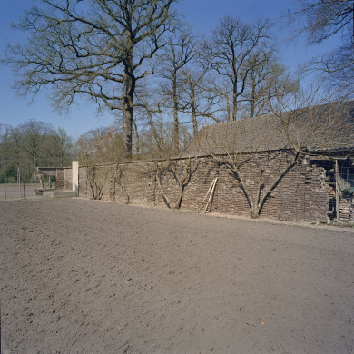 Rijksdienst voor het Cultureel Erfgoed: Heins, IJ.Th.