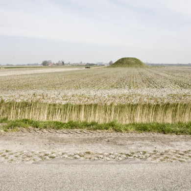 Rijksdienst voor het Cultureel Erfgoed: As, Bert van