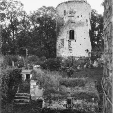 Rijksdienst voor het Cultureel Erfgoed: Delemarre, G.Th.