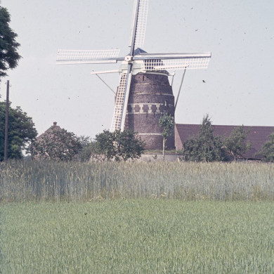 Rijksdienst voor het Cultureel Erfgoed