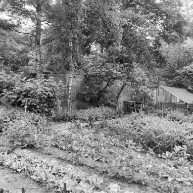 Rijksdienst voor het Cultureel Erfgoed: Dukker, G.J.