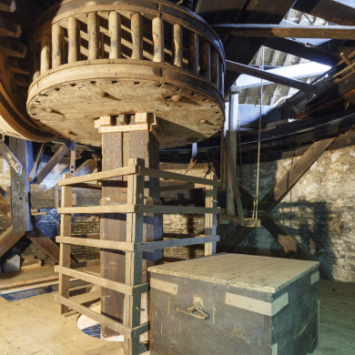 Rijksdienst voor het Cultureel Erfgoed: Tilleman, Ronald