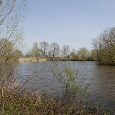 Rijksdienst voor het Cultureel Erfgoed: Galen, P. (Paul) van-Booms, C.S. (Chris)